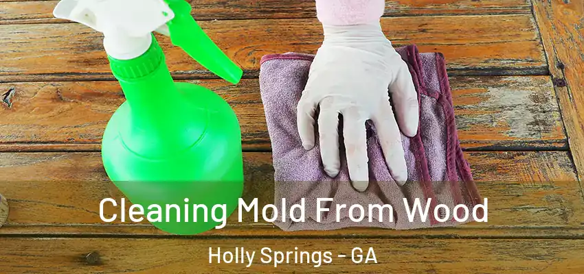  Cleaning Mold From Wood Holly Springs - GA