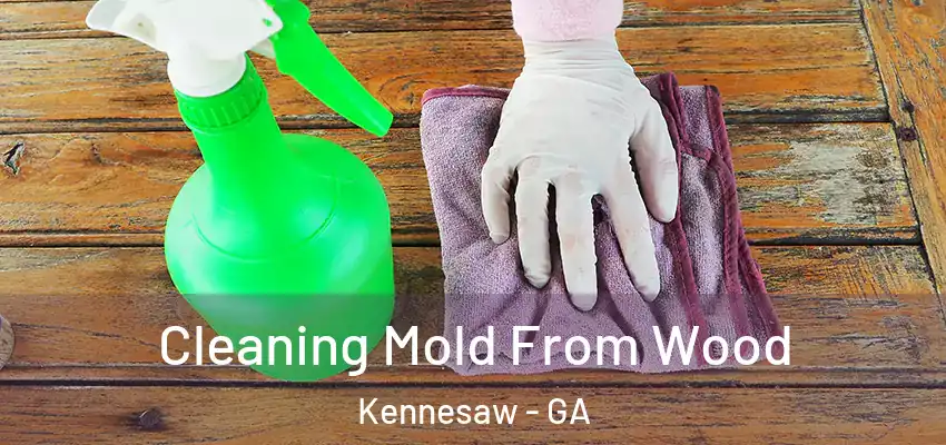 Cleaning Mold From Wood Kennesaw - GA