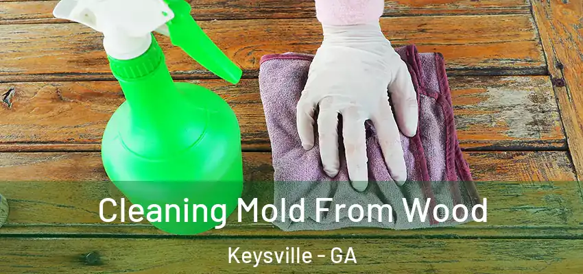  Cleaning Mold From Wood Keysville - GA