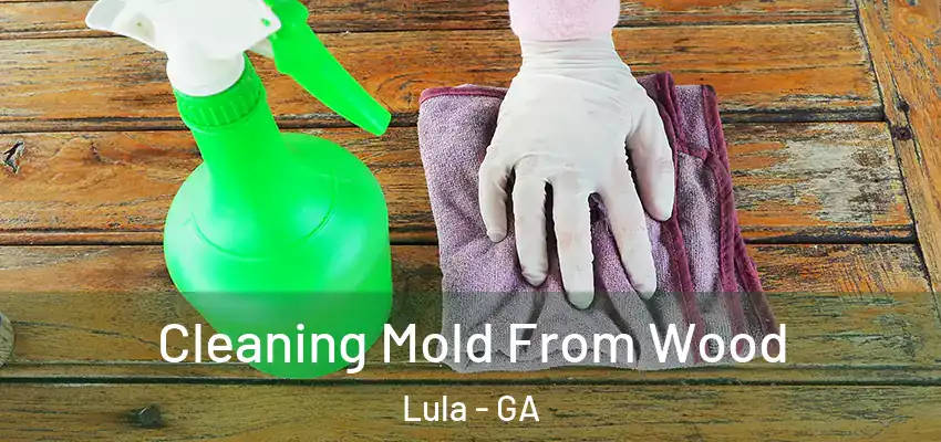  Cleaning Mold From Wood Lula - GA