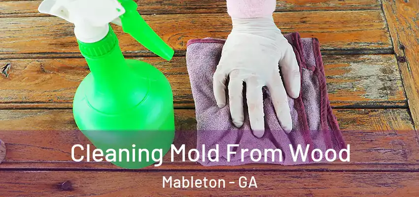  Cleaning Mold From Wood Mableton - GA