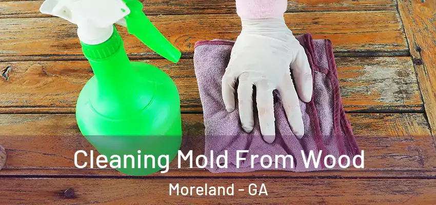 Cleaning Mold From Wood Moreland - GA