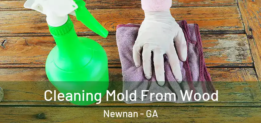 Cleaning Mold From Wood Newnan - GA