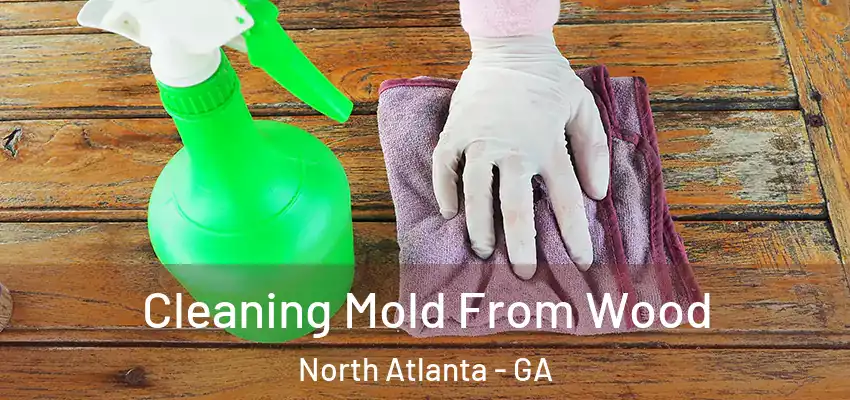  Cleaning Mold From Wood North Atlanta - GA