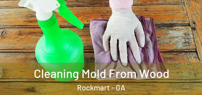  Cleaning Mold From Wood Rockmart - GA