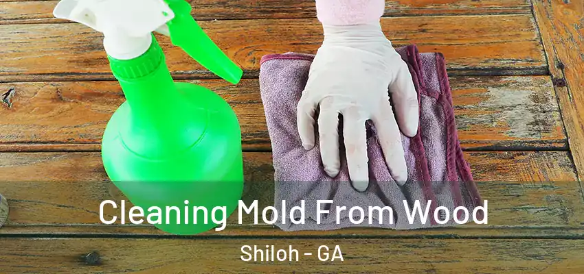  Cleaning Mold From Wood Shiloh - GA