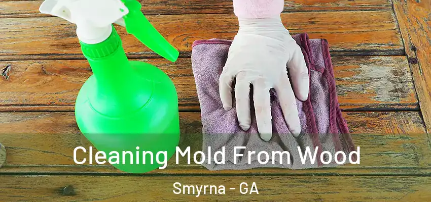  Cleaning Mold From Wood Smyrna - GA