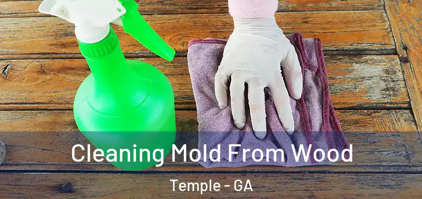  Cleaning Mold From Wood Temple - GA