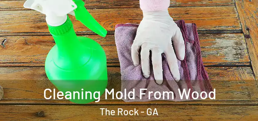  Cleaning Mold From Wood The Rock - GA