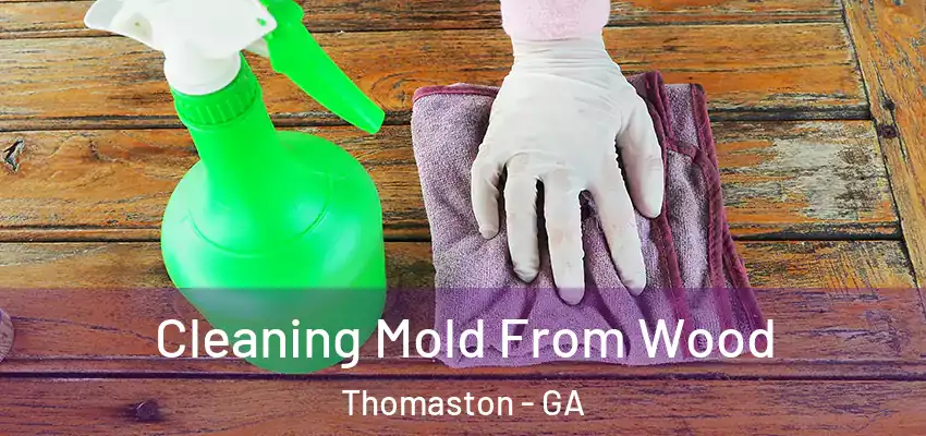  Cleaning Mold From Wood Thomaston - GA