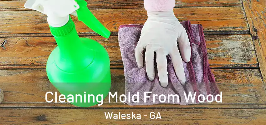 Cleaning Mold From Wood Waleska - GA