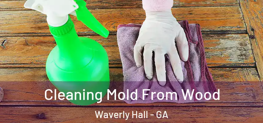  Cleaning Mold From Wood Waverly Hall - GA