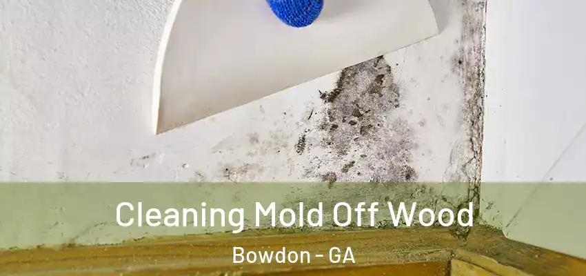  Cleaning Mold Off Wood Bowdon - GA