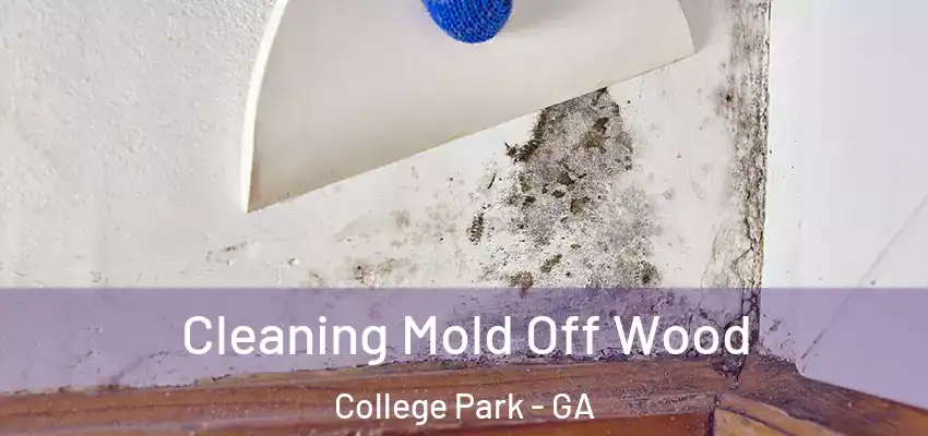 Cleaning Mold Off Wood College Park - GA
