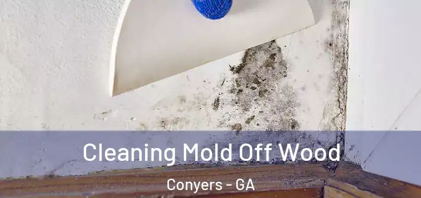  Cleaning Mold Off Wood Conyers - GA