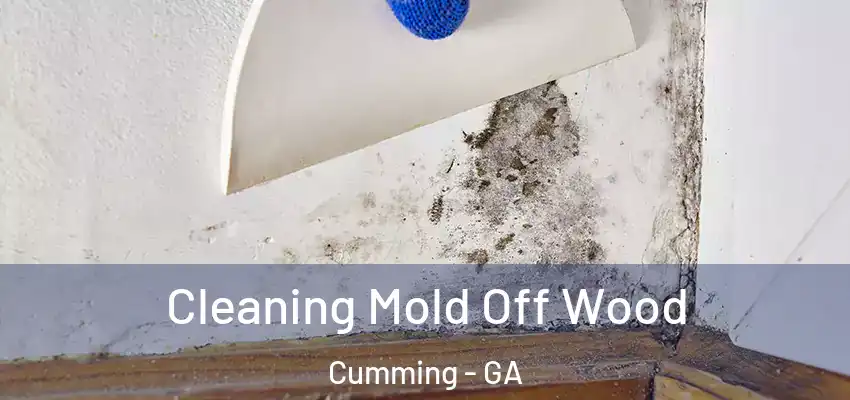  Cleaning Mold Off Wood Cumming - GA