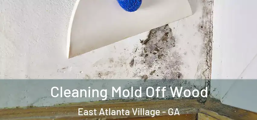 Cleaning Mold Off Wood East Atlanta Village - GA