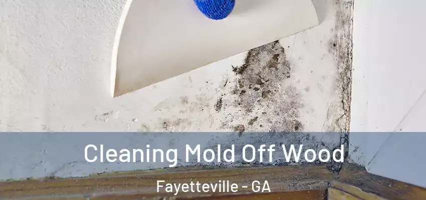 Cleaning Mold Off Wood Fayetteville - GA