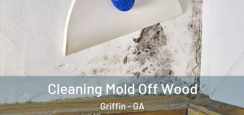 Cleaning Mold Off Wood Griffin - GA