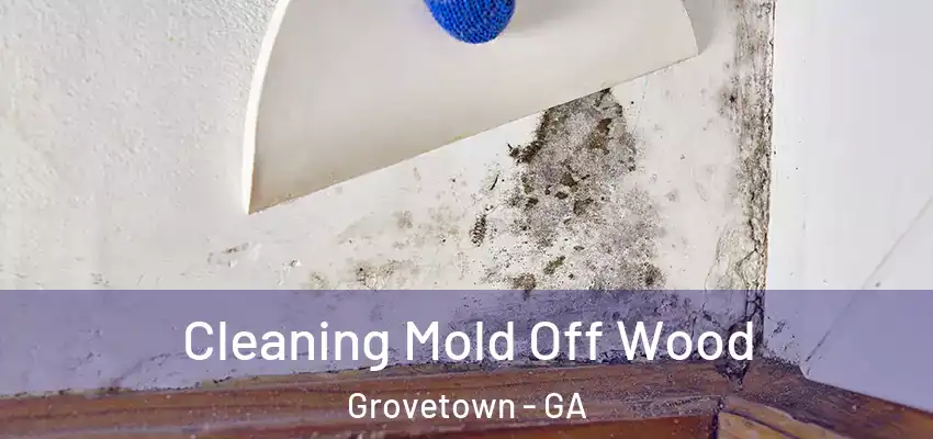  Cleaning Mold Off Wood Grovetown - GA