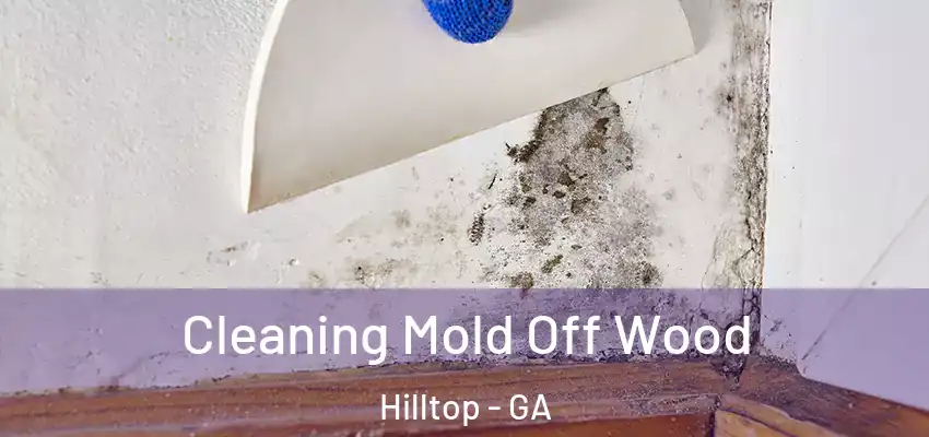 Cleaning Mold Off Wood Hilltop - GA