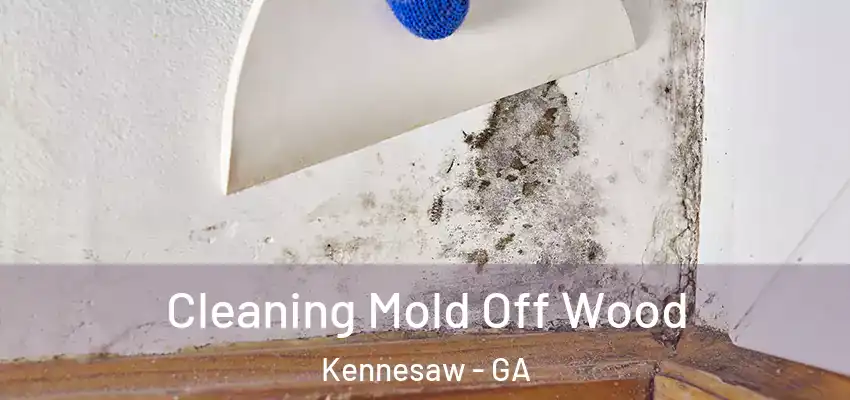 Cleaning Mold Off Wood Kennesaw - GA