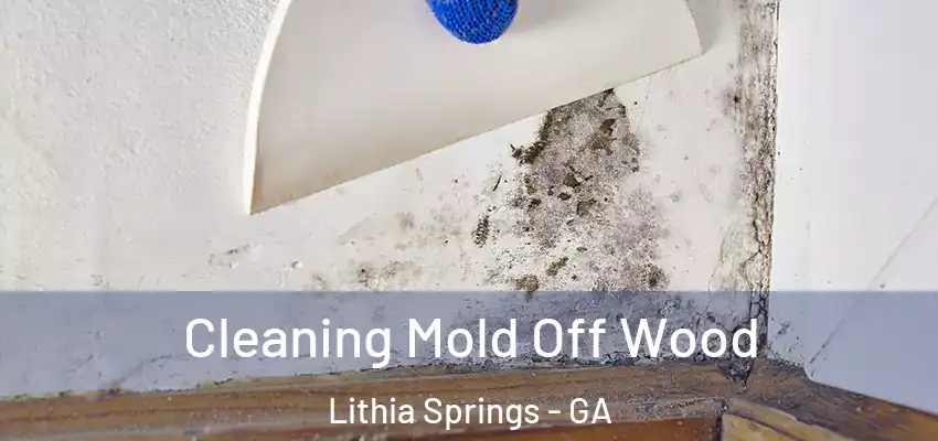  Cleaning Mold Off Wood Lithia Springs - GA