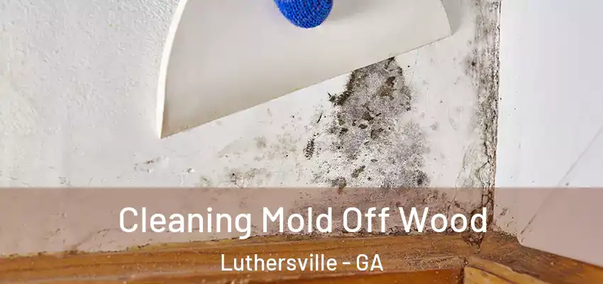  Cleaning Mold Off Wood Luthersville - GA