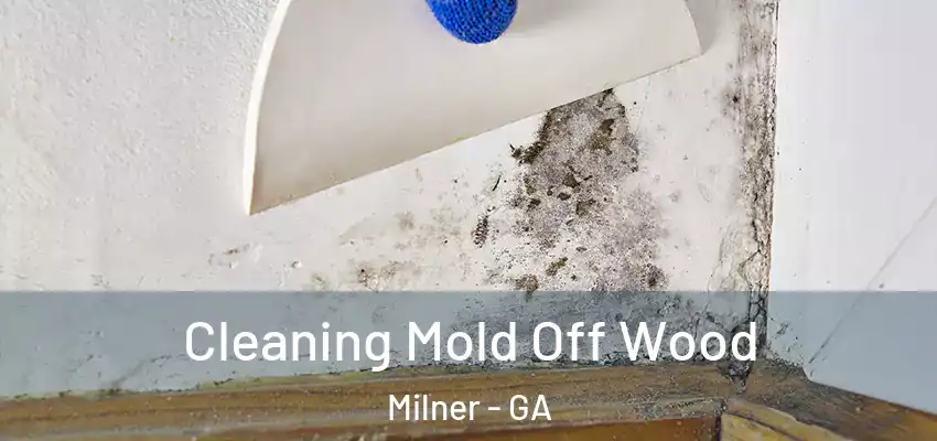  Cleaning Mold Off Wood Milner - GA