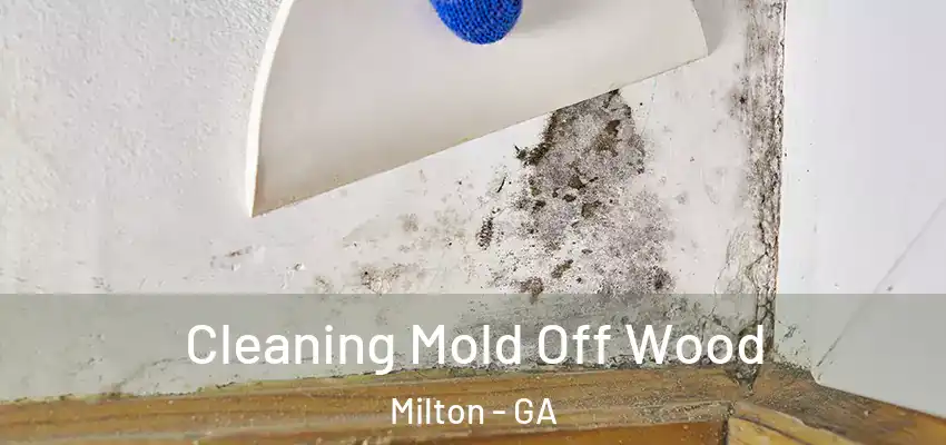  Cleaning Mold Off Wood Milton - GA