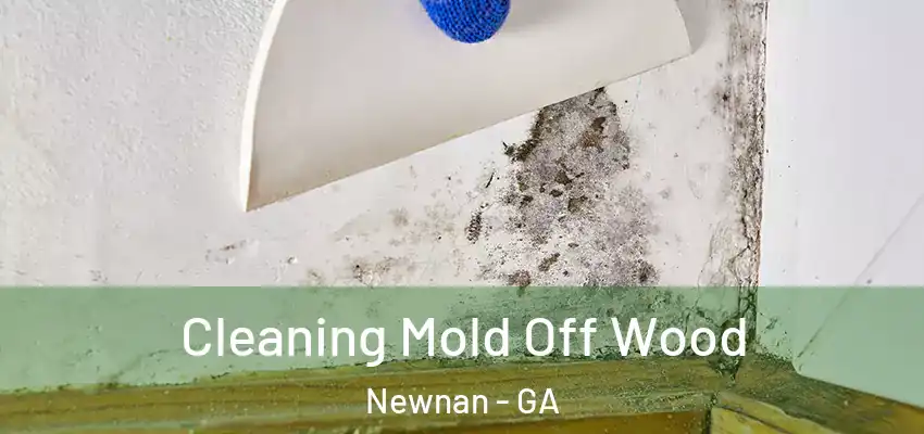  Cleaning Mold Off Wood Newnan - GA