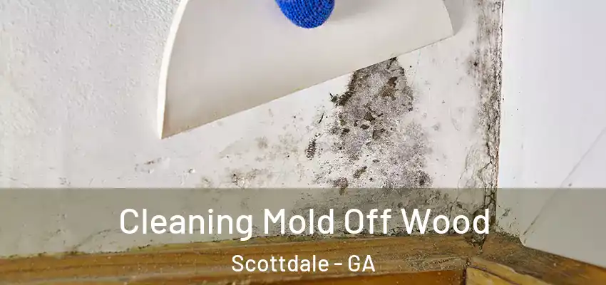 Cleaning Mold Off Wood Scottdale - GA
