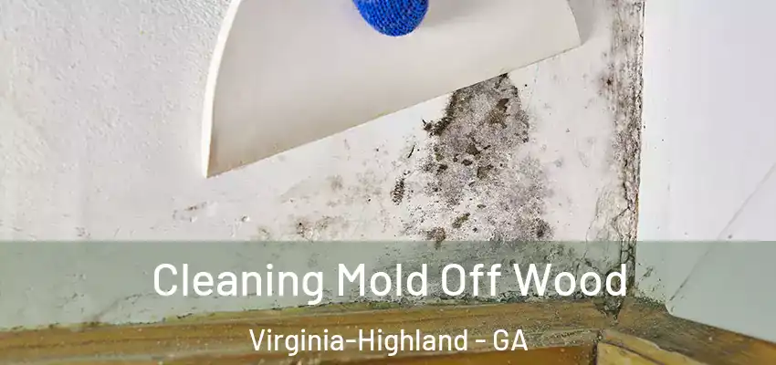  Cleaning Mold Off Wood Virginia-Highland - GA