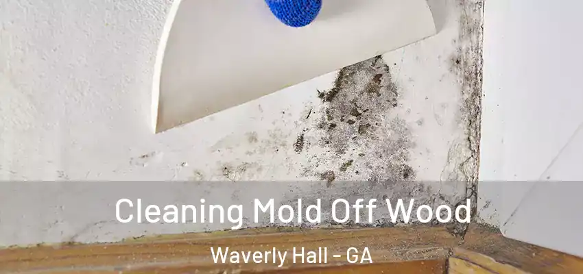  Cleaning Mold Off Wood Waverly Hall - GA