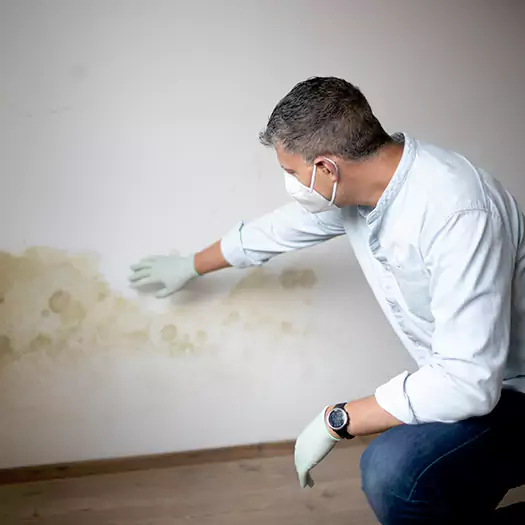 Trusted Mold Remediation and Removal Experts in Fayetteville, GA