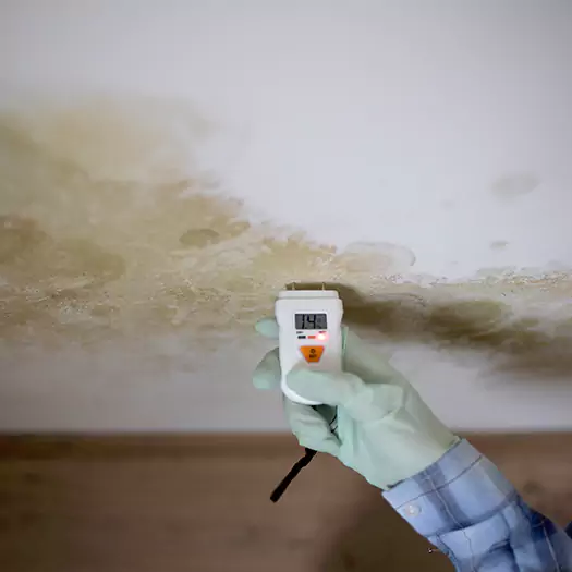 Reliable Mold Inspection Experts in Fayetteville, GA