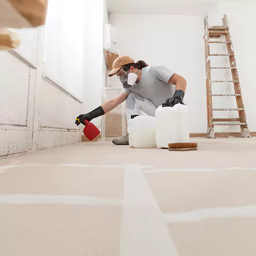 Reliable Mold Stain Remover Specialists in Fayetteville, GA