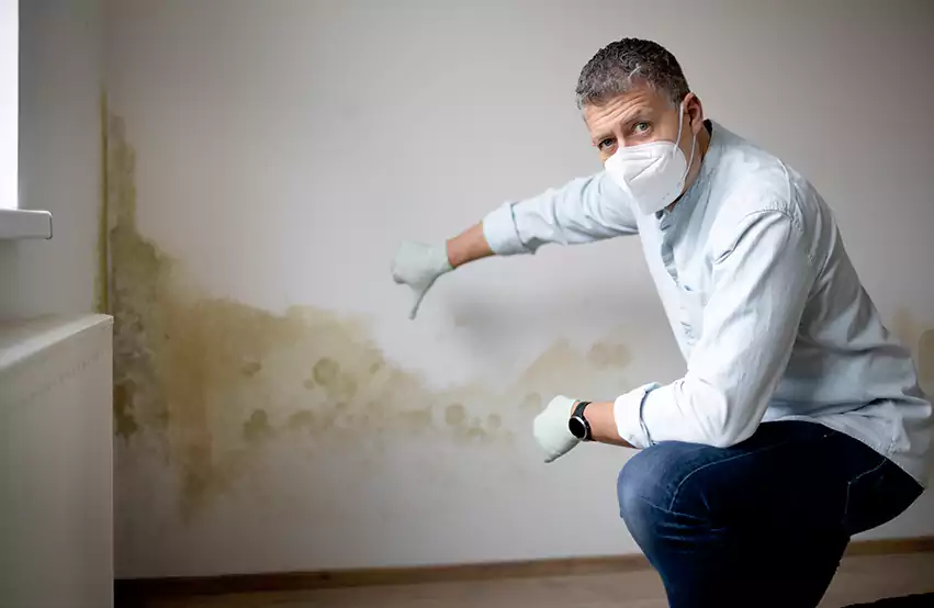 Mold Removal in Fayetteville, GA