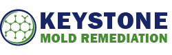 Keystone Mold Remediation