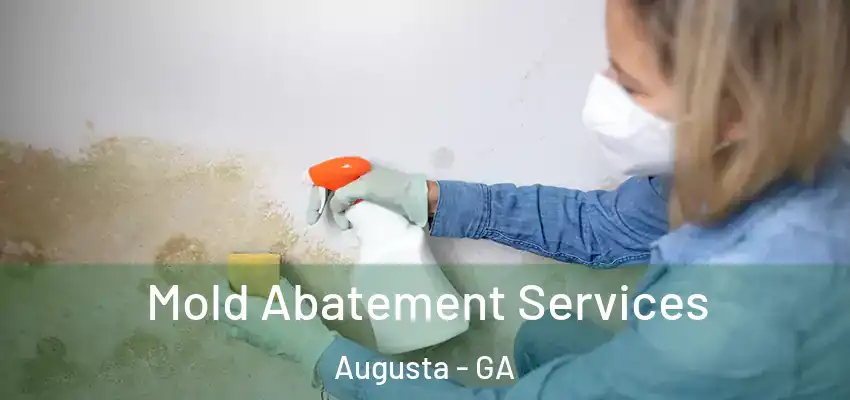  Mold Abatement Services Augusta - GA