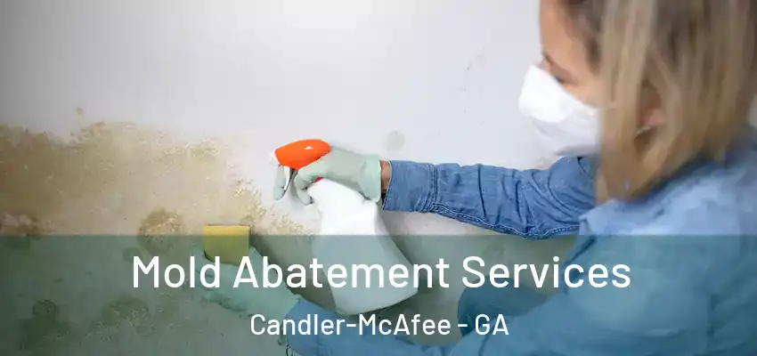  Mold Abatement Services Candler-McAfee - GA