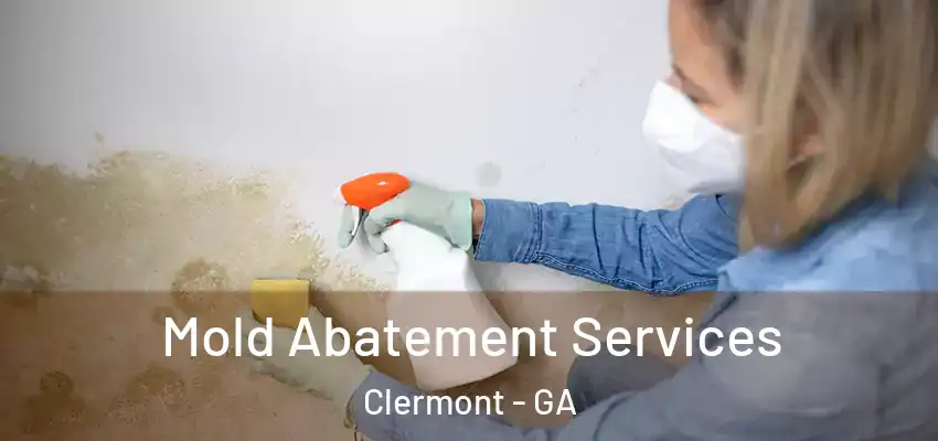 Mold Abatement Services Clermont - GA