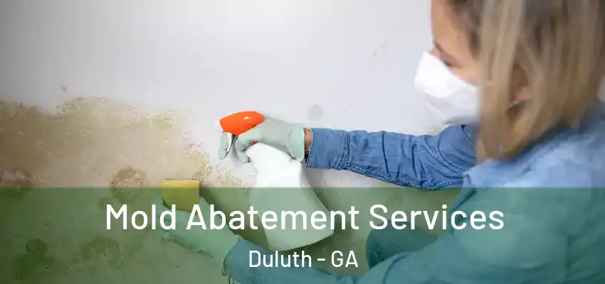 Mold Abatement Services Duluth - GA