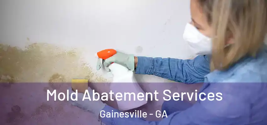  Mold Abatement Services Gainesville - GA