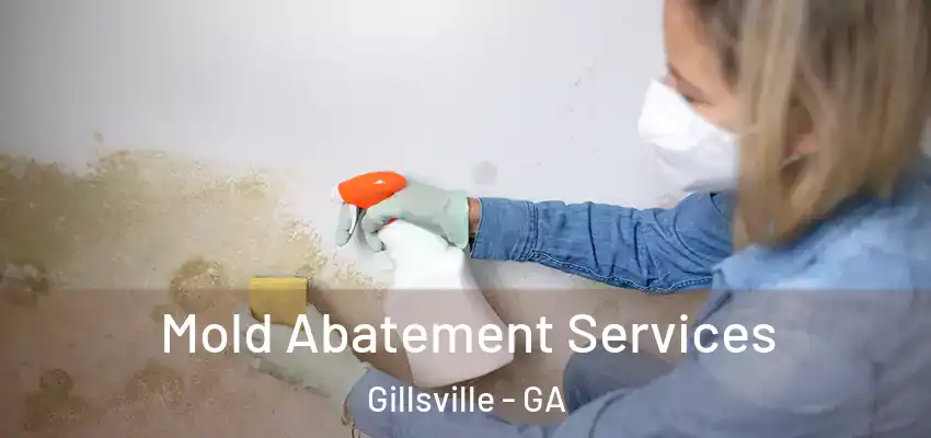  Mold Abatement Services Gillsville - GA