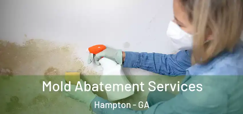  Mold Abatement Services Hampton - GA