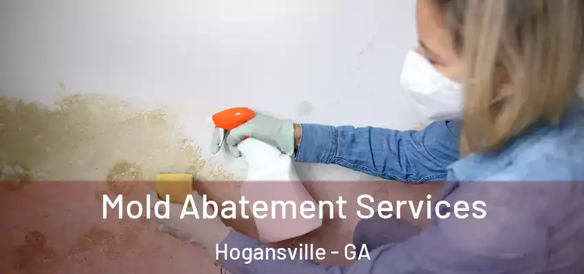  Mold Abatement Services Hogansville - GA