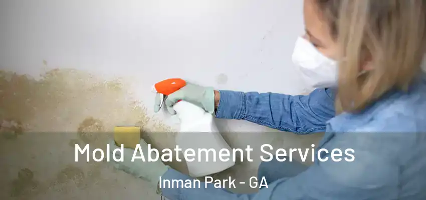  Mold Abatement Services Inman Park - GA