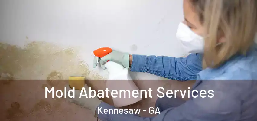  Mold Abatement Services Kennesaw - GA