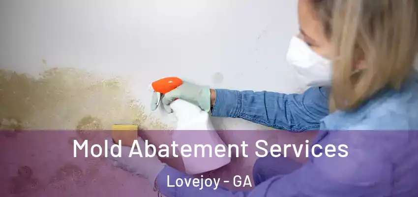  Mold Abatement Services Lovejoy - GA